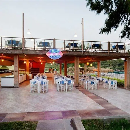 Aska Just In Avsallar